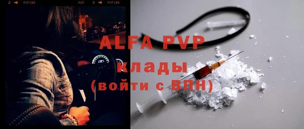 сатива Сясьстрой