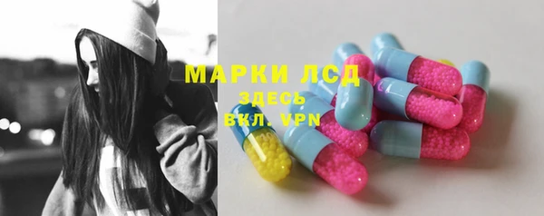 сатива Сясьстрой