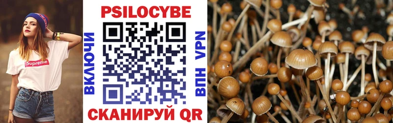 Купить  Татарск  Псилоцибиновые грибы ЛСД 